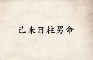 己未日柱男命運詳解
