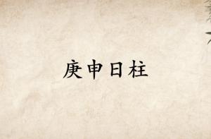 庚申日柱三命通會精論解析