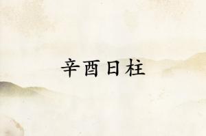辛酉日柱三命通會精論解析