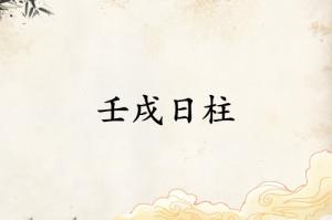 壬戌日柱三命通會精論解析