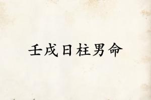 壬戌日柱男命運詳解