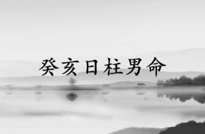 癸亥日柱男命運詳解
