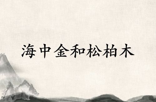 海中金和松柏木合伙做事業(yè)好嗎