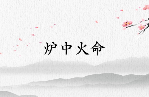 爐中火命佩戴木飾品好不好