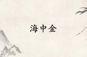 海中金是弱金還是強金