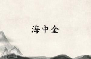 海中金見什么必成大器