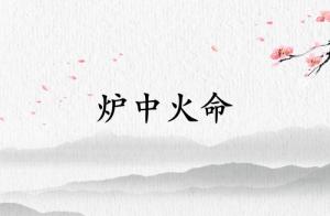 爐中火命佩戴木飾品好不好
