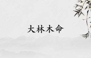 大林木命穿什么顏色衣服招財