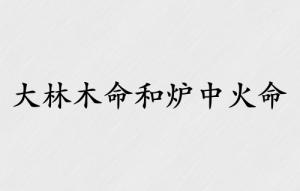 大林木命和爐中火命的結(jié)合好嗎