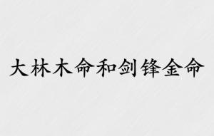 大林木命和劍鋒金命合適嗎