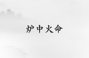 爐中火命和什么命最配