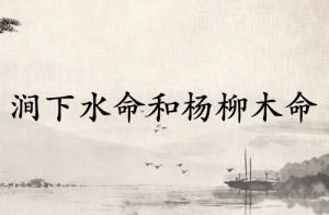 澗下水命和楊柳木命合適嗎