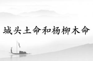 城頭土命和楊柳木命合適嗎?
