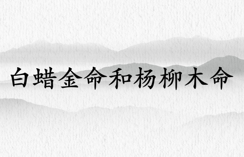 白蠟金命和楊柳木命結婚好嘛