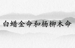 白蠟金命和楊柳木命結婚好嘛