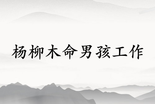 楊柳木命男孩適合什么工作