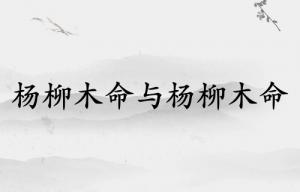 楊柳木命和楊柳木命配婚好嗎