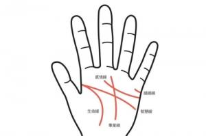 沒(méi)有感情線的手相是怎么回事