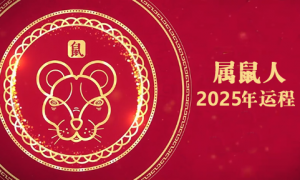 屬鼠2025運(yùn)勢及運(yùn)程詳解
