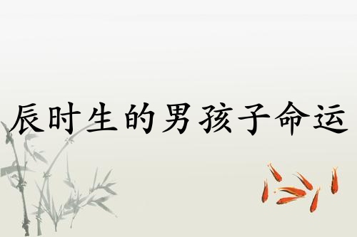 辰時(shí)生的男孩子命運(yùn)如何