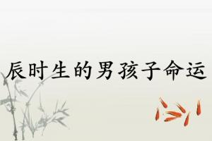 辰時生的男孩子命運如何