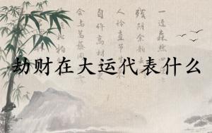 劫財在大運代表什么