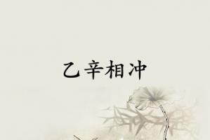 乙辛相沖是什么意思