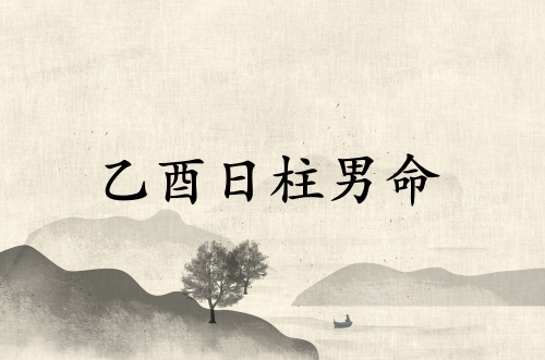乙酉日柱男命2025年運(yùn)勢(shì)