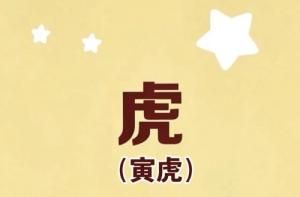 屬虎的犯太歲佩戴什么