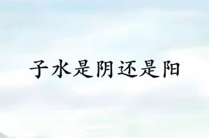 子水是陰還是陽