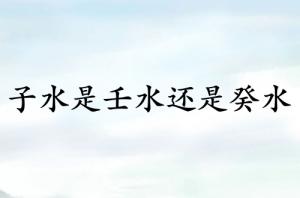 子水是壬水還是癸水