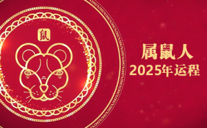 屬鼠今年運(yùn)勢(shì)2025年運(yùn)勢(shì)如何
