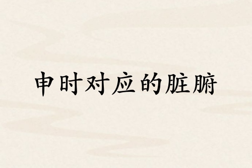 申時對應哪個臟腑