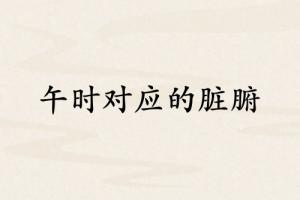 午時(shí)和哪個(gè)臟腑對(duì)應(yīng)