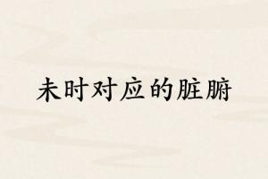 未時(shí)對(duì)應(yīng)哪個(gè)臟腑