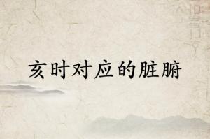 亥時(shí)是什么經(jīng)絡(luò)當(dāng)令