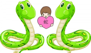 卜算子算命網(wǎng)