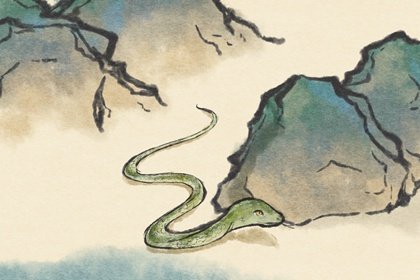 屬蛇驚蟄當(dāng)天出生好嗎