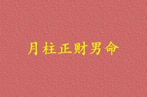 月柱正財男命代表什么