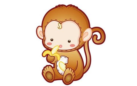 2016年屬猴什么命五行屬什么