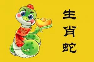 卜算子算命網(wǎng)