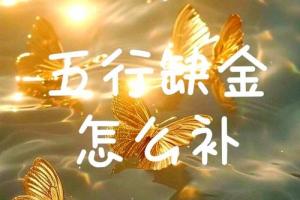 五行補金最強的方法