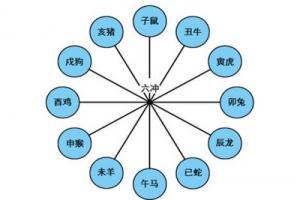 地支相沖會有什么結果