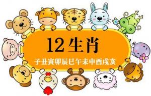 十二生肖五行屬性對(duì)照表完整版
